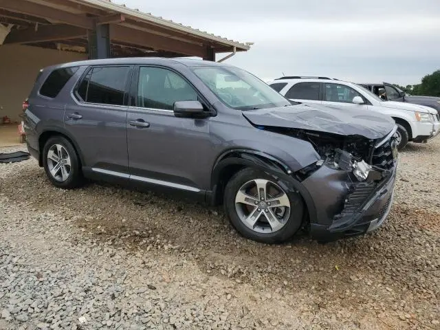 2024 HONDA PILOT EXL  