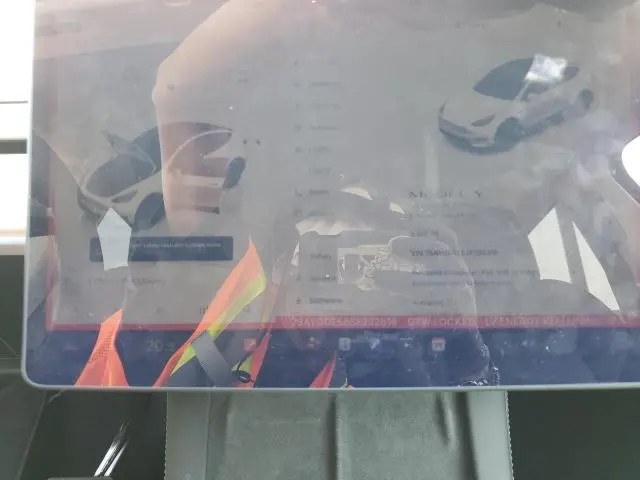 2025 TESLA MODEL Y   