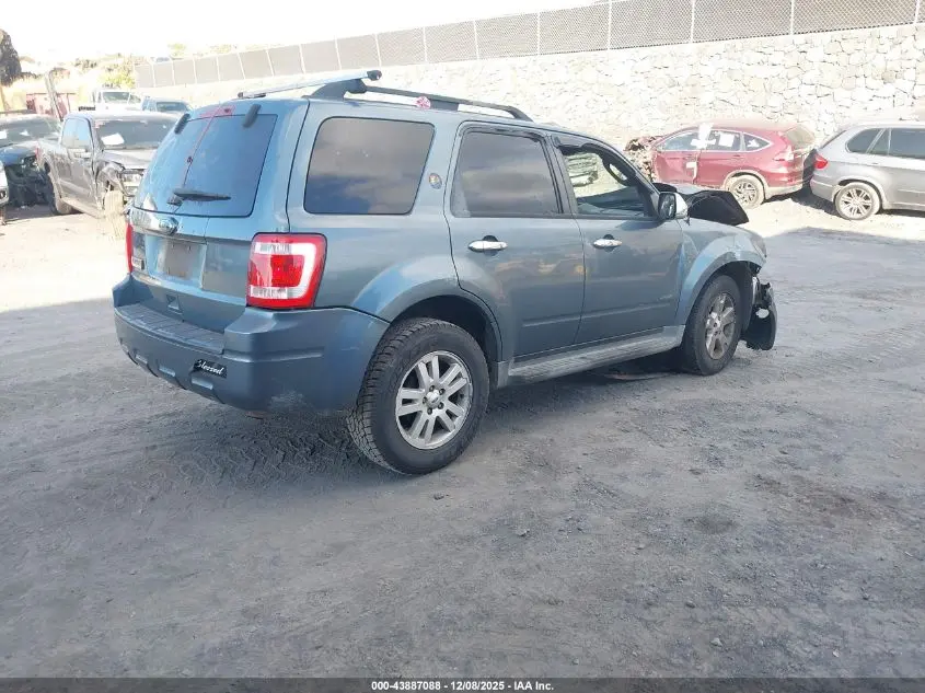 2011 FORD ESCAPE XLT