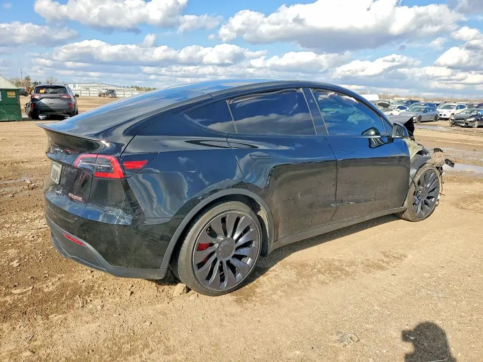 2024 TESLA MODEL Y   