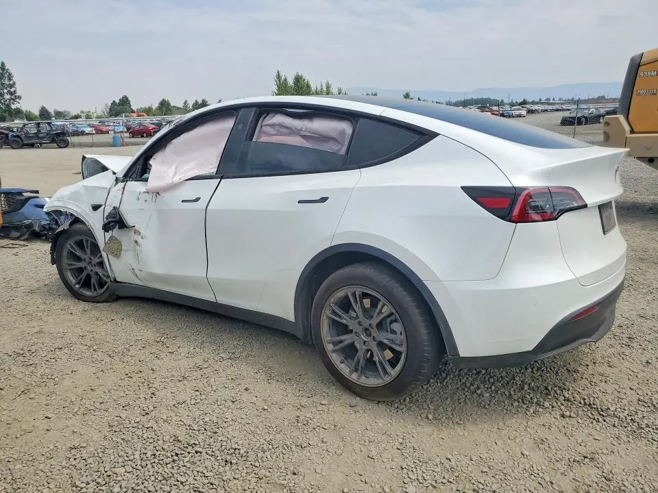 2025 TESLA MODEL Y   