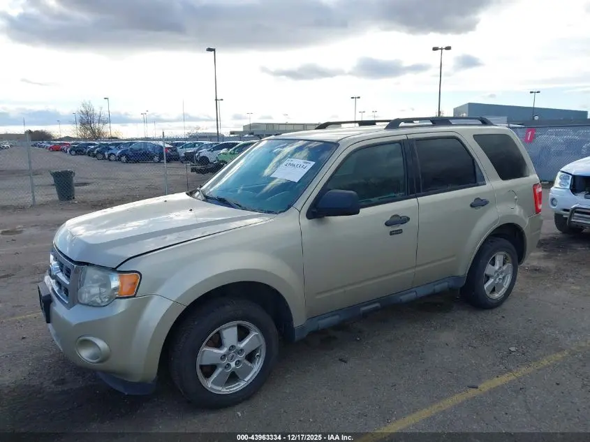2011 FORD ESCAPE XLT