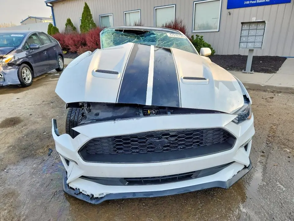 2019 FORD MUSTANG   