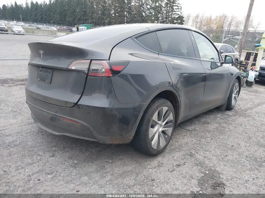 2024 TESLA MODEL Y RWD