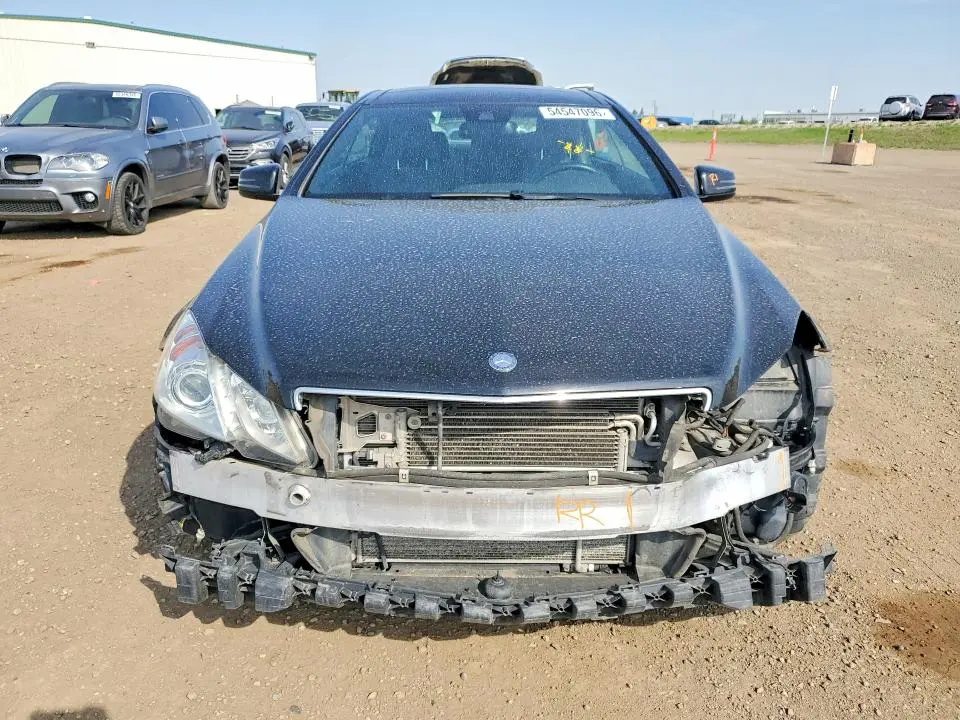 2010 MERCEDES-BENZ E 550  