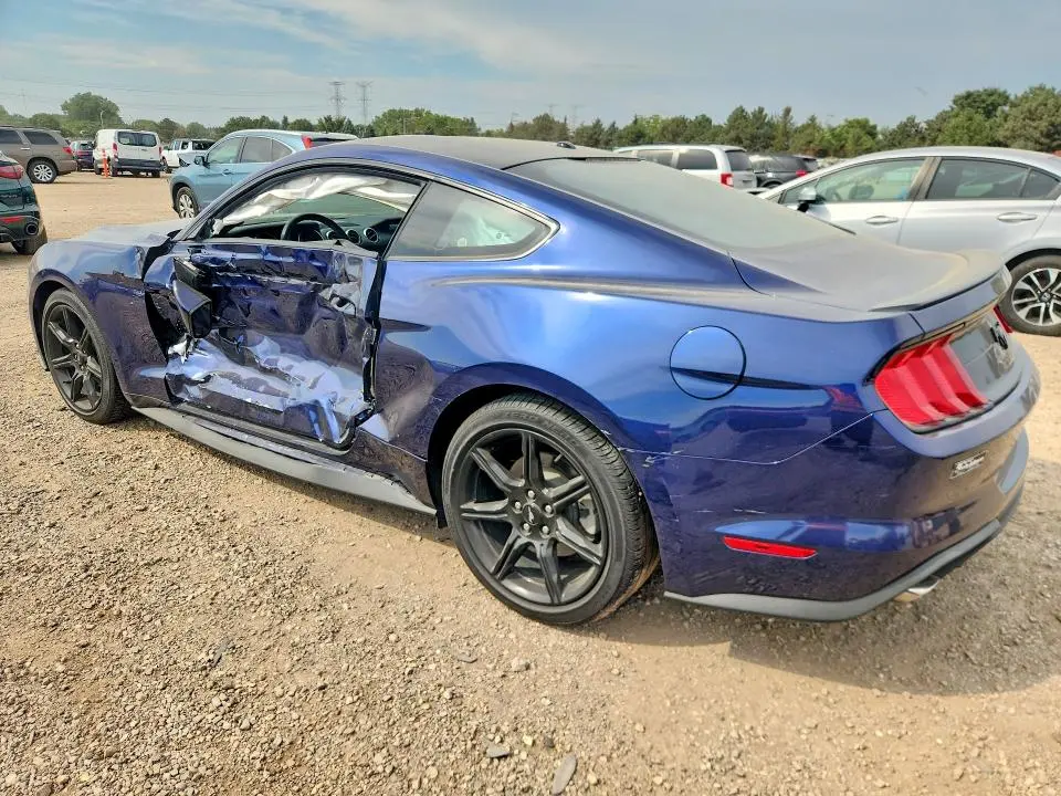 2019 FORD MUSTANG   