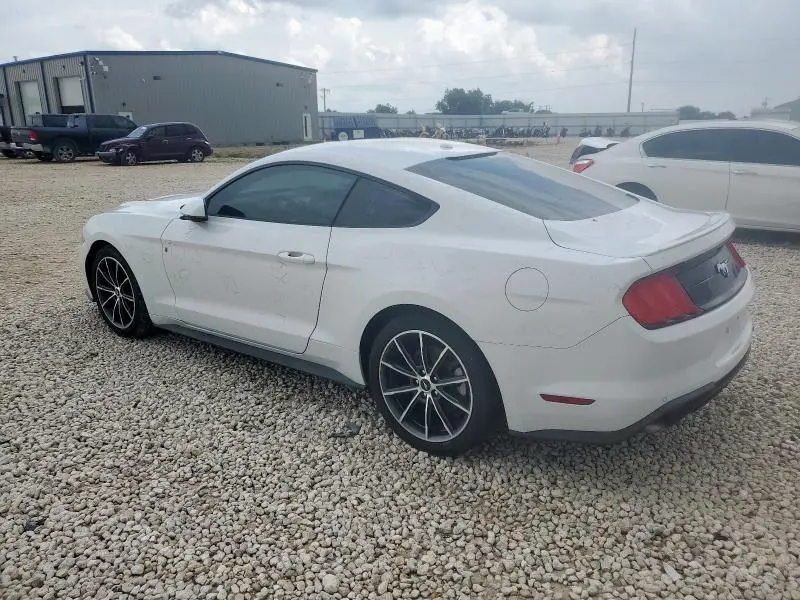 2019 FORD MUSTANG   