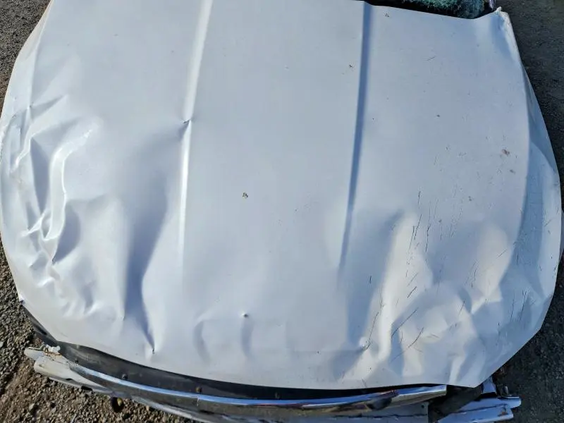 2010 FORD TAURUS SEL  