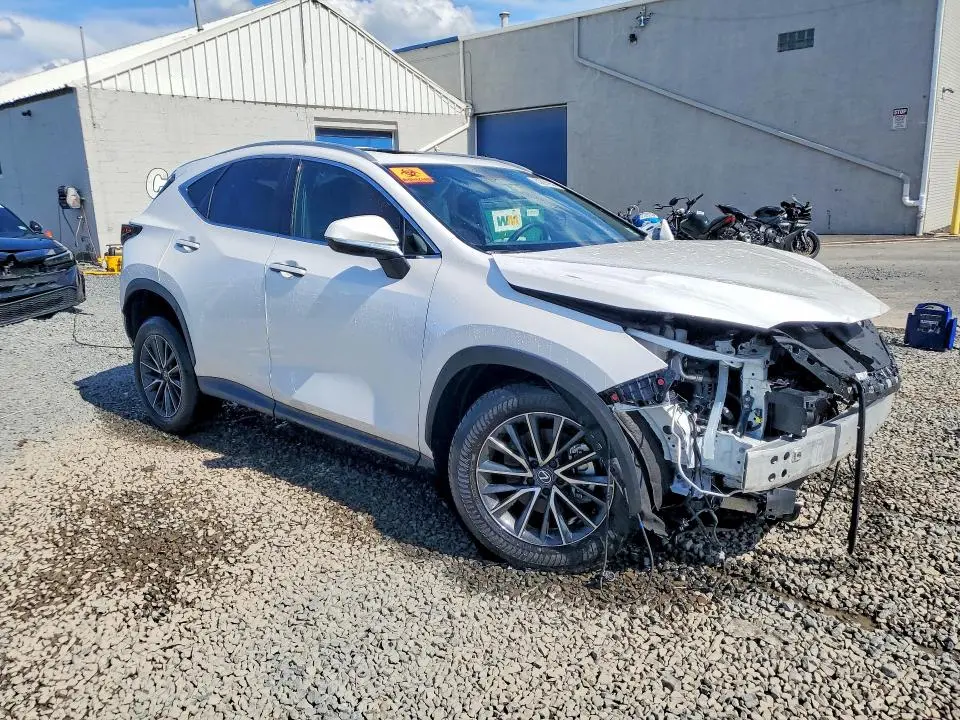 2025 LEXUS NX 350 BASE  