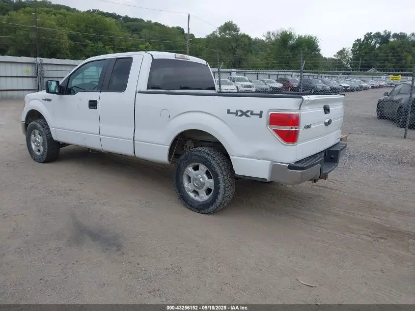 2013 FORD F-150 XLT