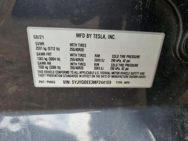 2021 TESLA MODEL Y   