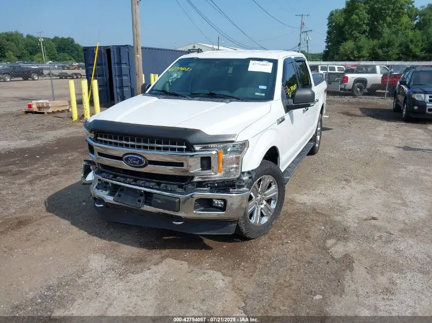 2019 FORD F-150 XLT