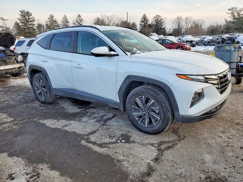 2024 HYUNDAI TUCSON BLUE  