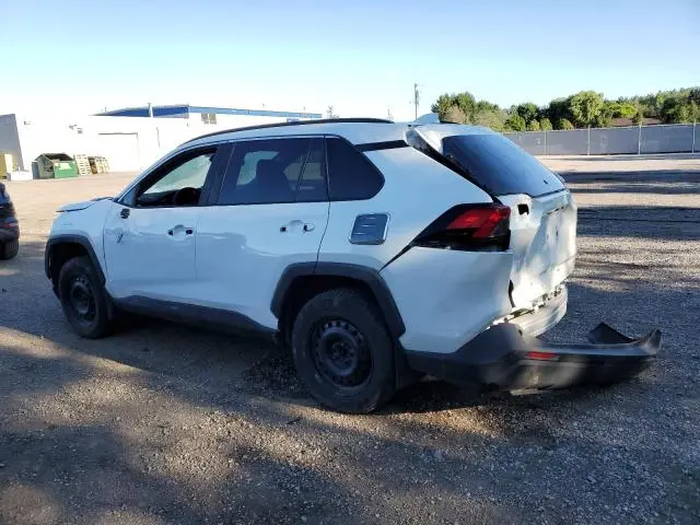 2023 TOYOTA RAV4 XLE  