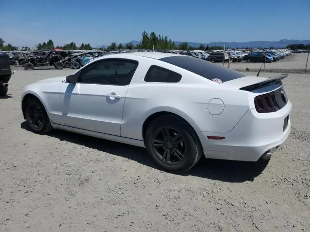 2014 FORD MUSTANG