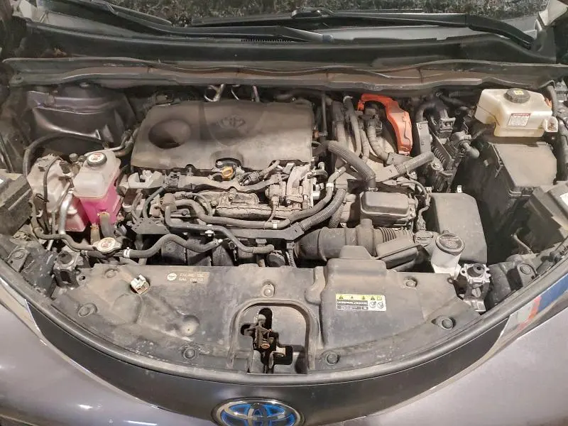 2021 TOYOTA SIENNA LE  