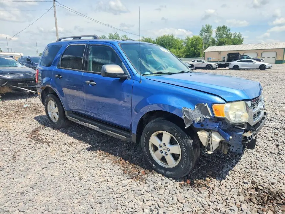 2010 FORD ESCAPE XLT  