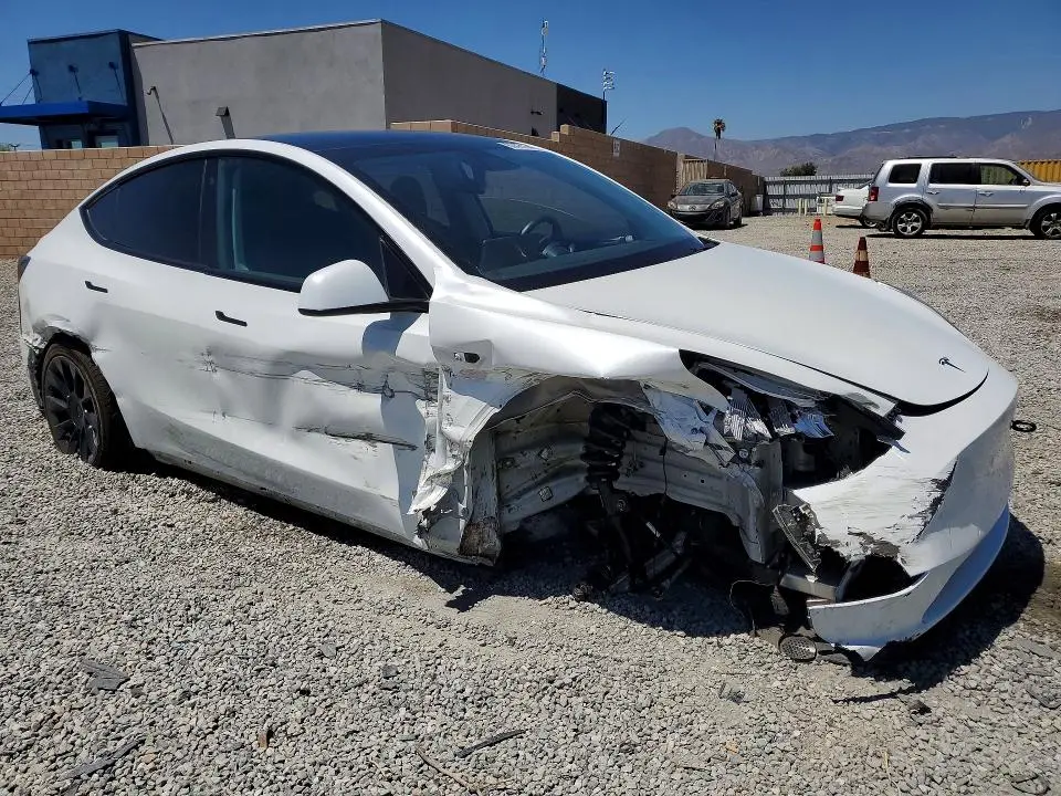 2021 TESLA MODEL Y   