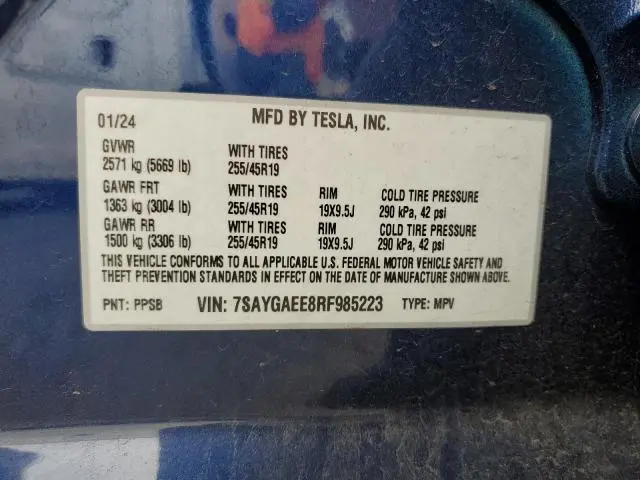 2024 TESLA MODEL Y   