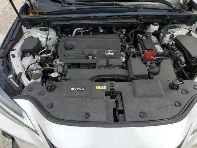 2024 LEXUS NX 250 BASE  