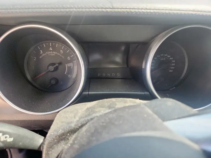 2019 FORD MUSTANG   