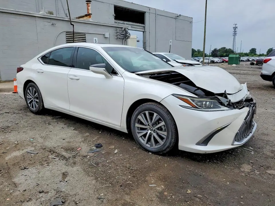 2019 LEXUS ES 350  