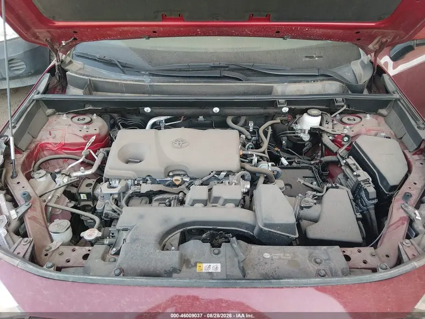2024 TOYOTA RAV4 XLE