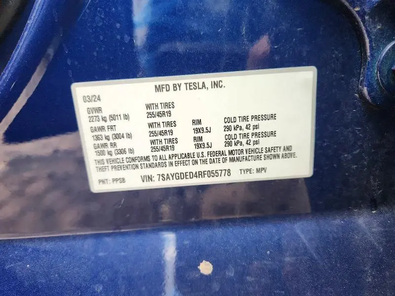 2024 TESLA MODEL Y   