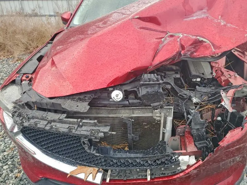 2019 MAZDA CX-5 SPORT  