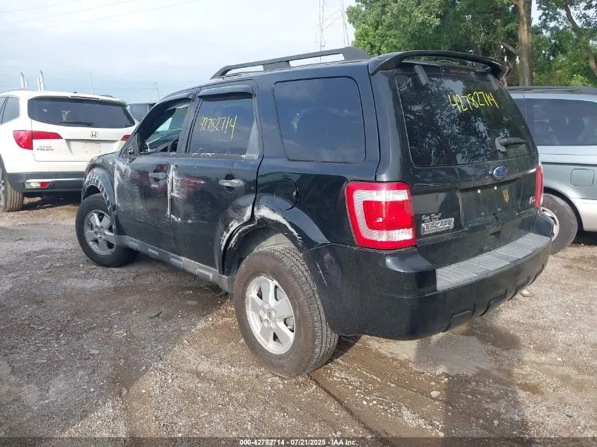 2010 FORD ESCAPE XLT