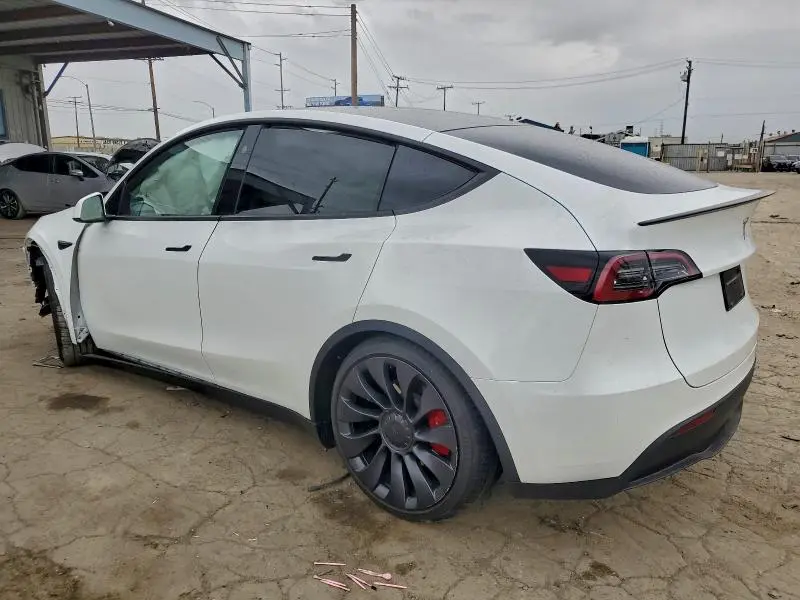 2024 TESLA MODEL Y   