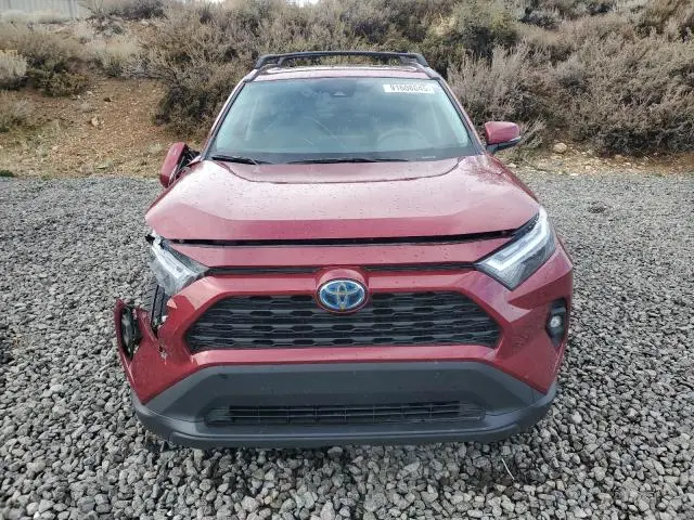 2024 TOYOTA RAV4 XLE PREMIUM  