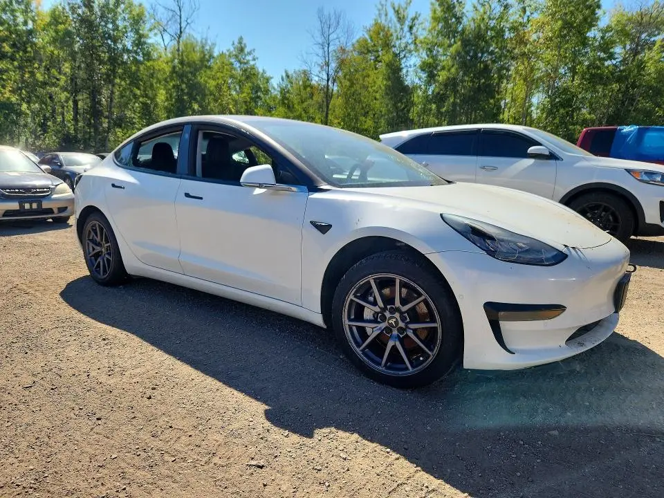 2019 TESLA MODEL 3   