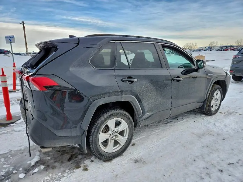 2019 TOYOTA RAV4 XLE  