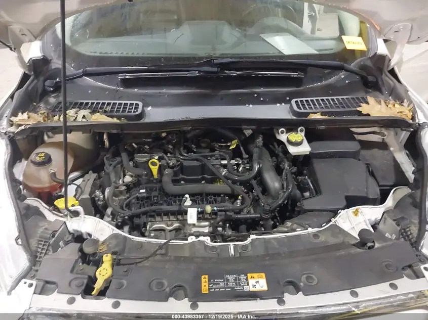 2019 FORD ESCAPE SEL