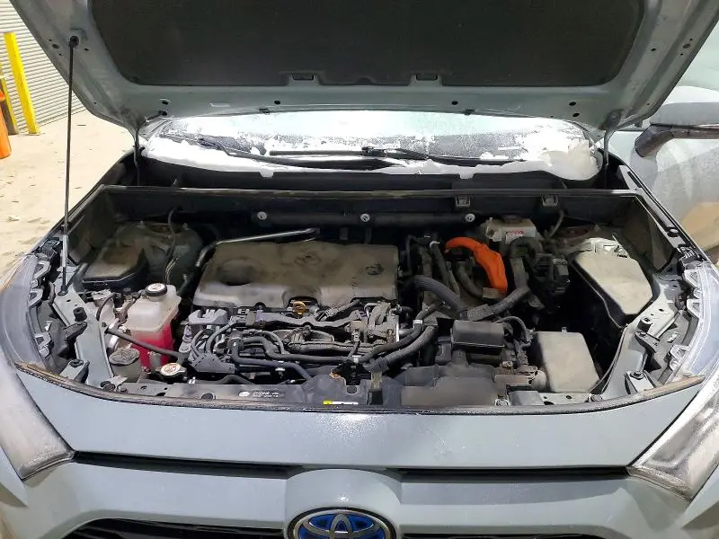 2019 TOYOTA RAV4 XLE  