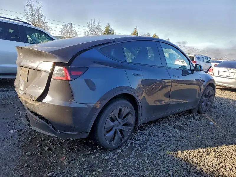 2025 TESLA MODEL Y   