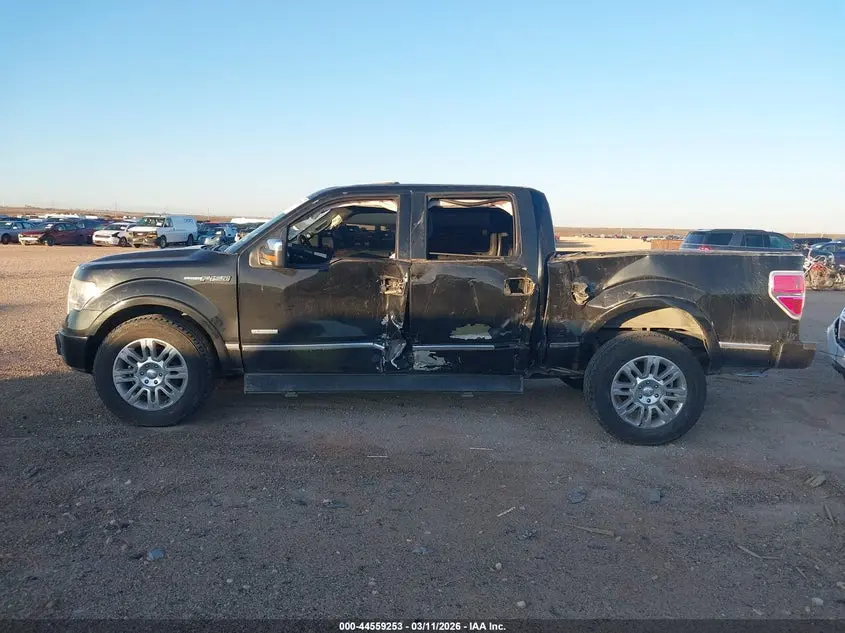 2013 FORD F-150 PLATINUM