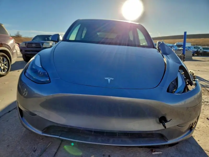2025 TESLA MODEL Y   