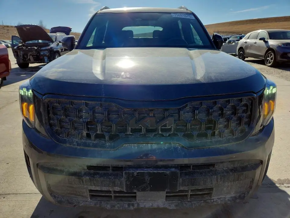 2025 KIA TELLURIDE EX  