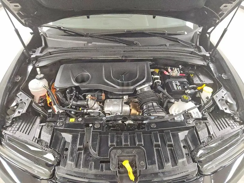 2024 DODGE HORNET   