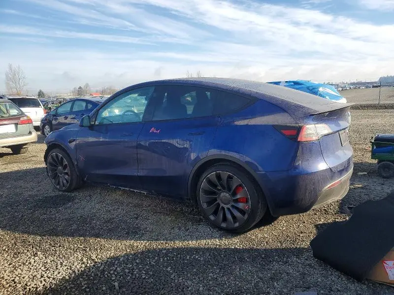 2025 TESLA MODEL Y   
