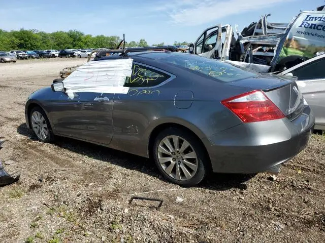 2010 HONDA ACCORD EXL  