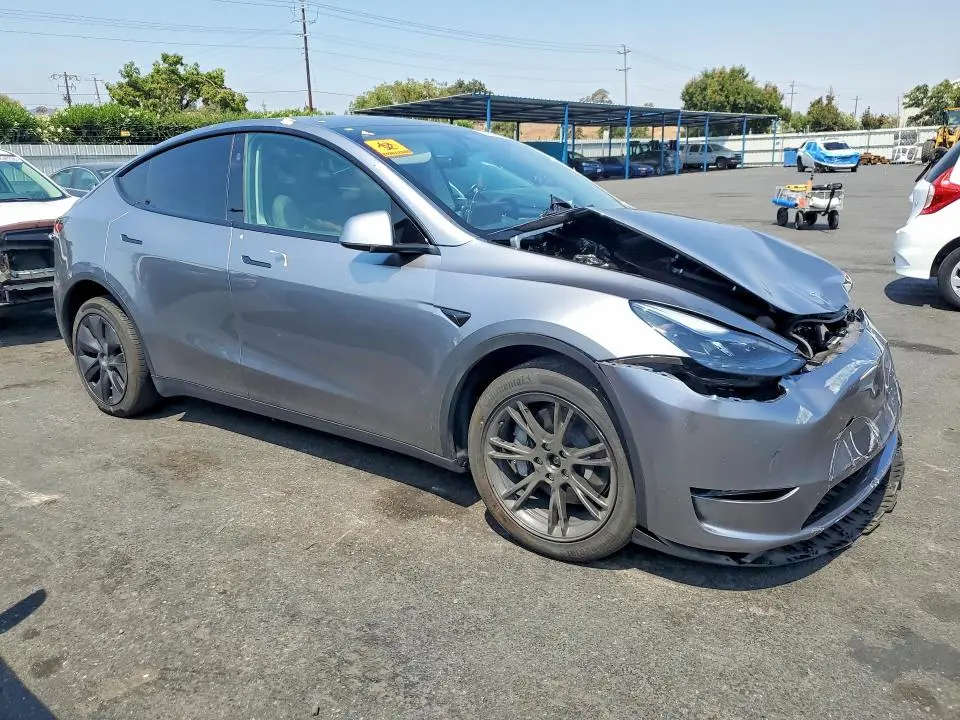 2025 TESLA MODEL Y   