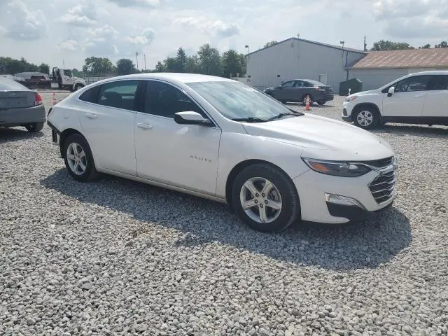 2024 CHEVROLET MALIBU LS  