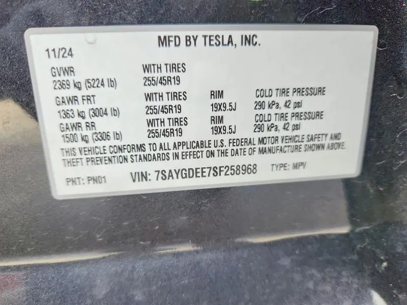 2025 TESLA MODEL Y   