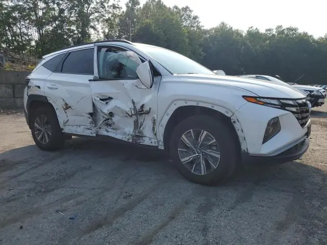 2022 HYUNDAI TUCSON BLUE  