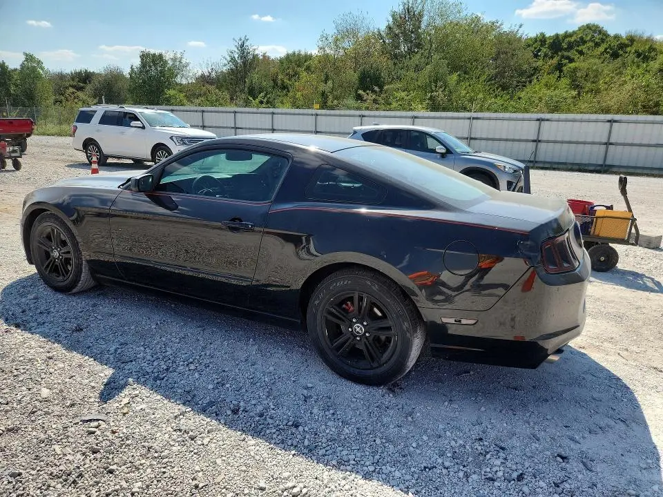 2014 FORD MUSTANG   