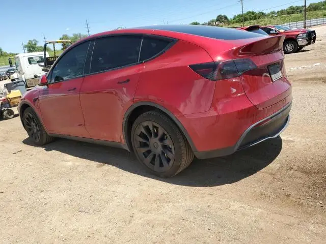 2024 TESLA MODEL Y   