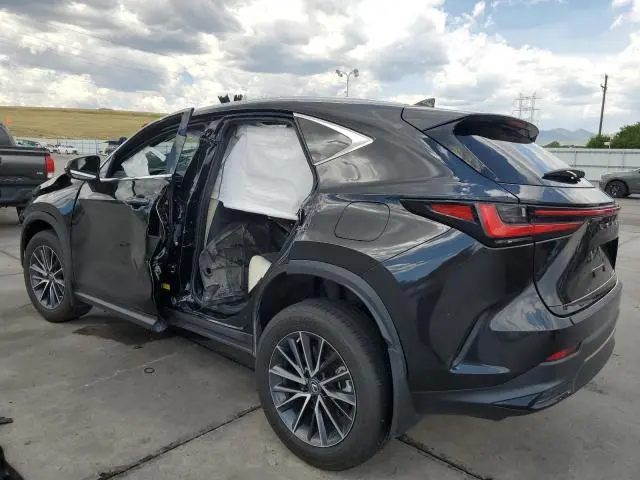 2023 LEXUS NX 250  